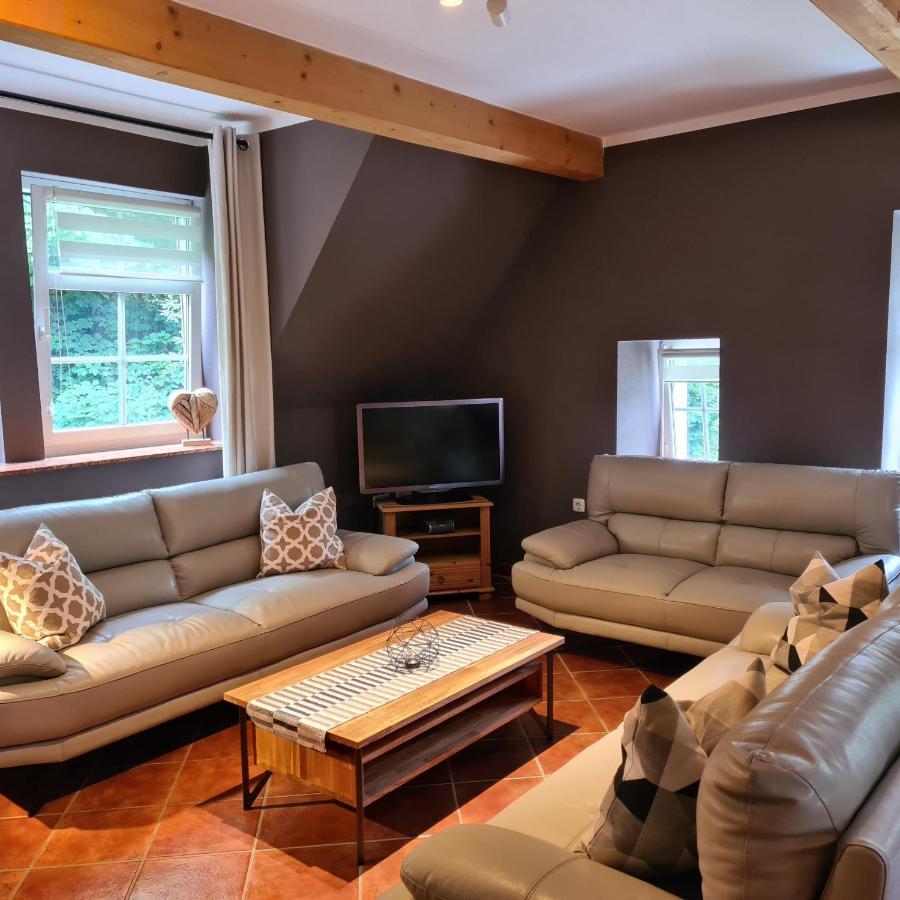 Appartements Im "Landhaus Am Frohnauer Hammer" Анаберг-Бухолц Екстериор снимка